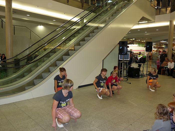 Stock&acute;sen Wipperau