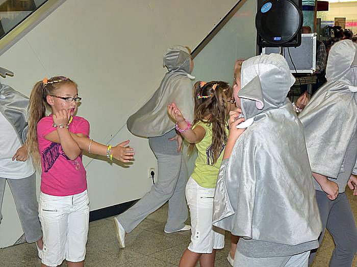 Stock&acute;sen Wipperau