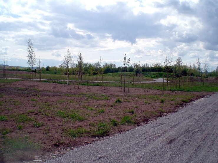 Kr&auml;utergarten Artern