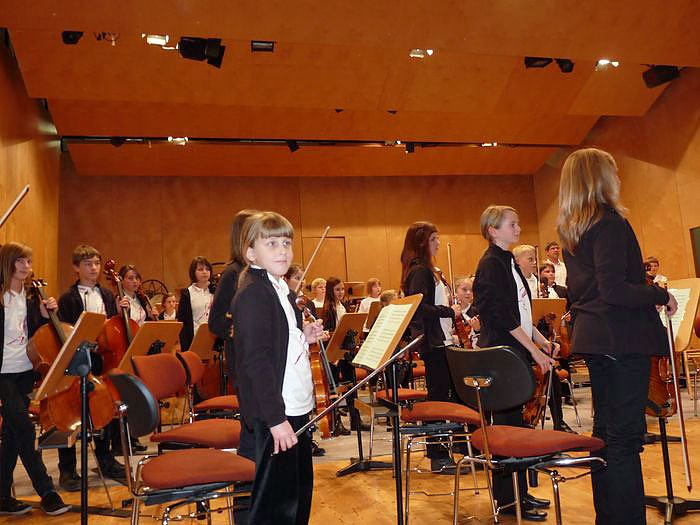 Vielf&auml;ltige Laienorchester