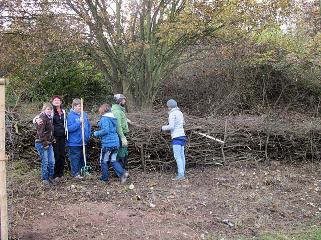 Bepflanzung vorgenommen