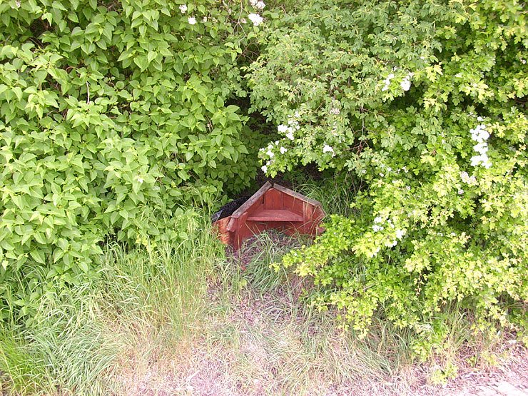 Schmierereien in Sondershausen