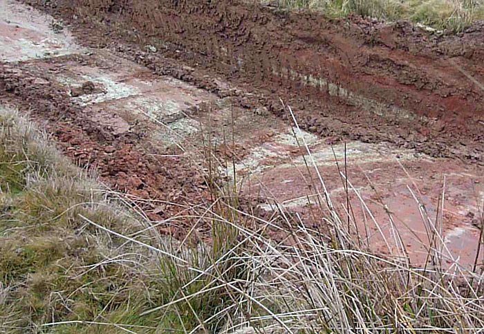 Mit 1.000 PS f&uuml;r die Natur
