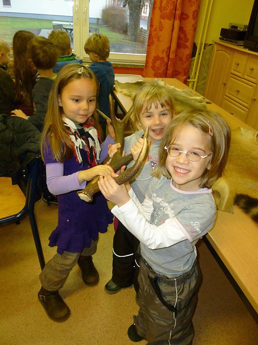 Spatzen erkunden die Natur