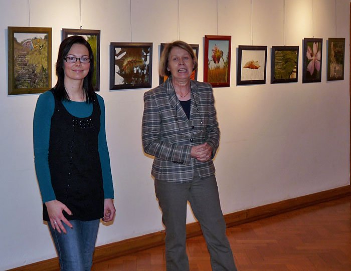 Farbenpr&auml;chtige Schmetterlinge