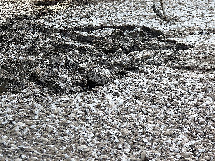 Harte Arbeit f&uuml;r sauberes Abwasser