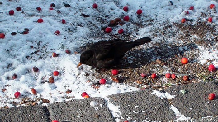 Warum das und nicht das?