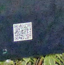 Wahlauftakt bei den Linken