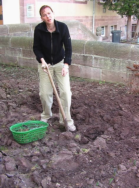 Erfolgreicher Arbeitseinsatz