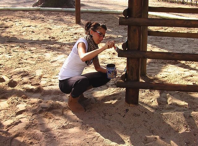 Erfolgreicher Arbeitseinsatz