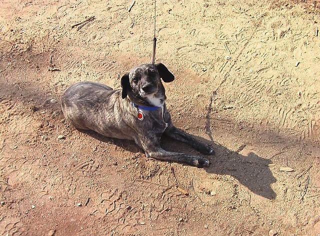 Erfolgreicher Arbeitseinsatz