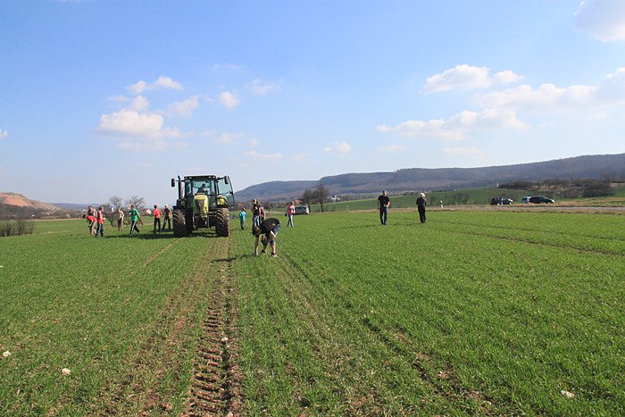Feldacker von Steinen befreit
