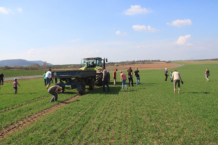 Feldacker von Steinen befreit
