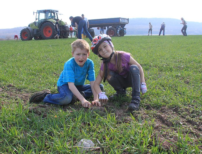 Feldacker von Steinen befreit