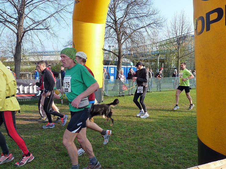 34. Kyffh&auml;userberglauf (1)