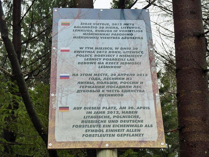 Internationale Baumpflanzaktion