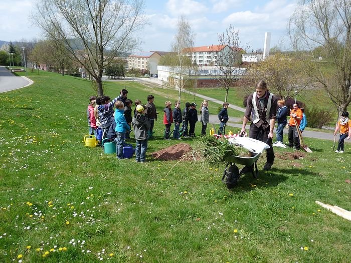 Baum des Jahres gepflanzt