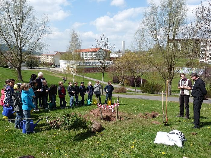 Baum des Jahres gepflanzt