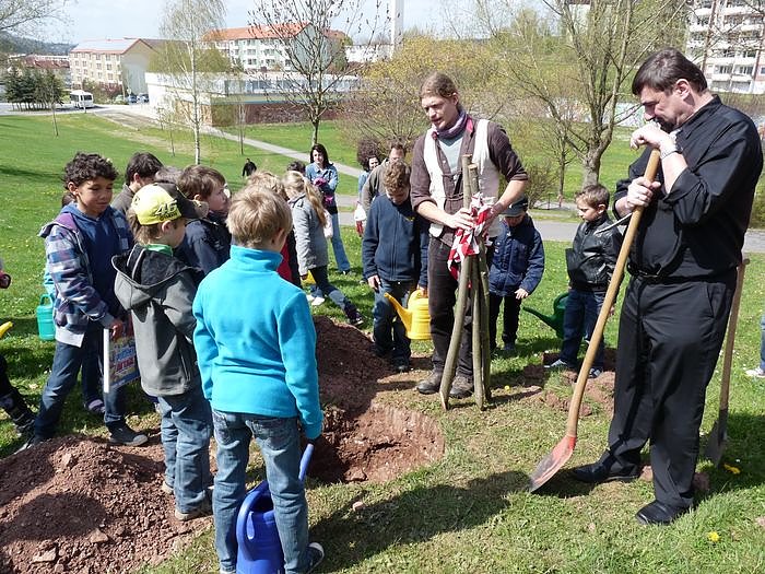 Baum des Jahres gepflanzt