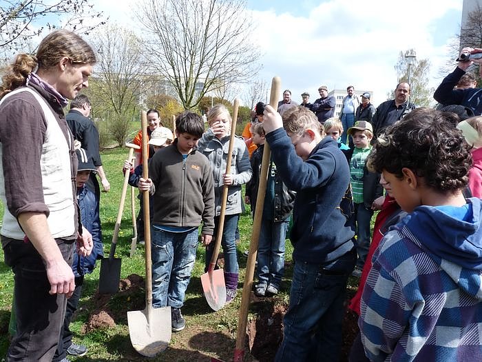 Baum des Jahres gepflanzt