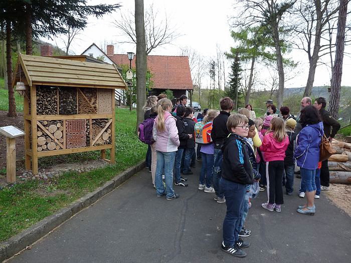 Spielerische Waldp&auml;dagogik