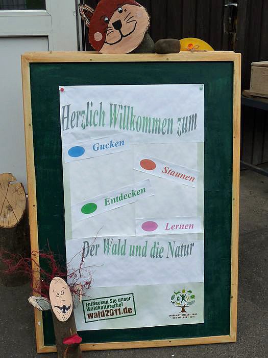 Spielerische Waldp&auml;dagogik