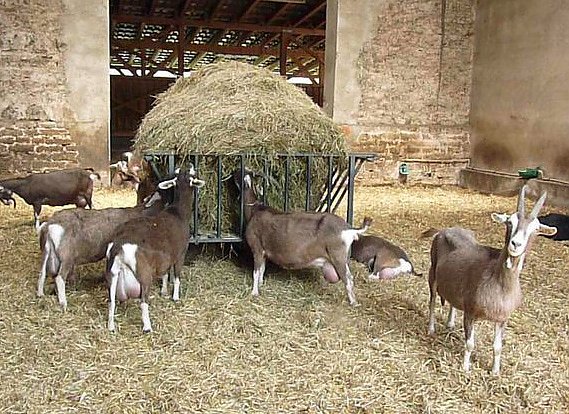 Welche Menschenmassen!