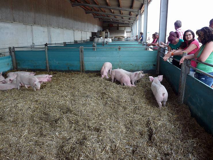 Welche Menschenmassen!