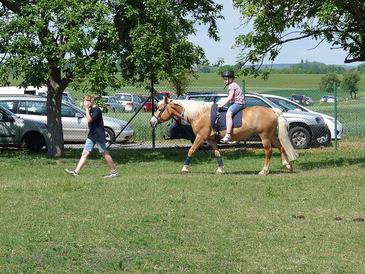 Welche Menschenmassen!