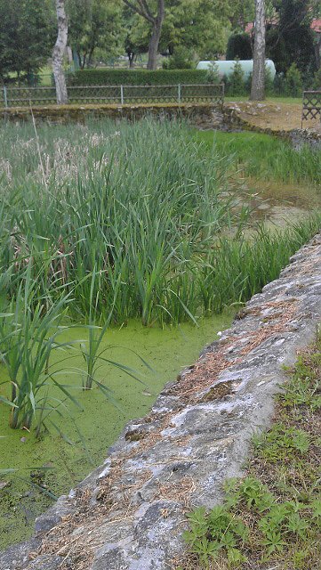 Wer ist verantwortlich?