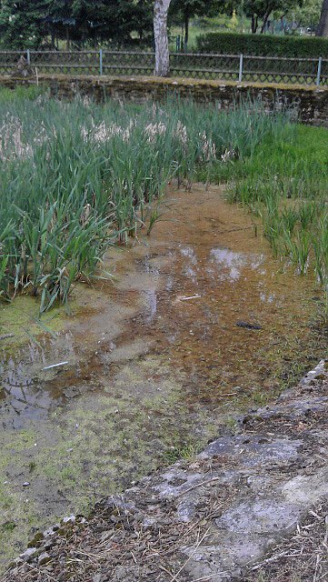 Wer ist verantwortlich?