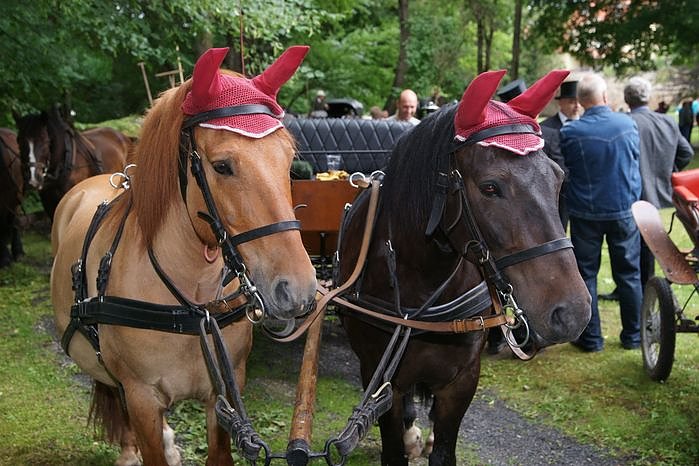 2. Th&uuml;ringer Traditionsgespannfahren Clingen