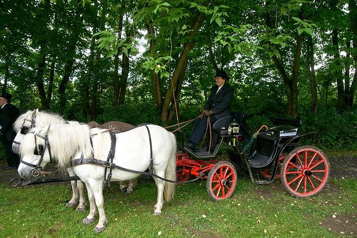 2. Th&uuml;ringer Traditionsgespannfahren Clingen