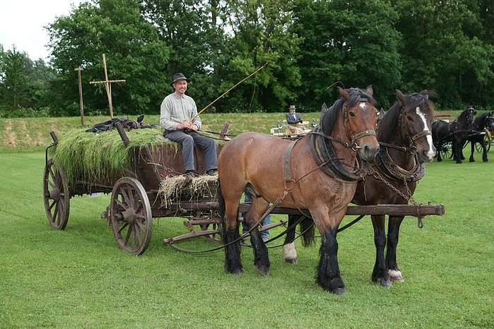 2. Th&uuml;ringer Traditionsgespannfahren Clingen