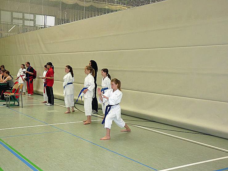 Meisterschaften im Karate