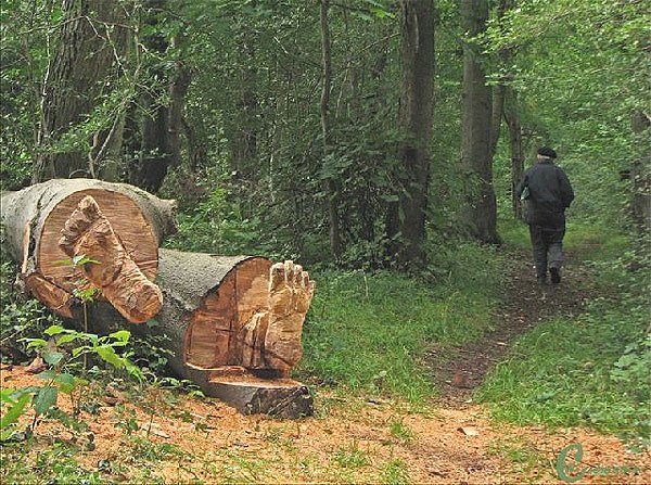 Kr&auml;uterfest Friedrichsrode