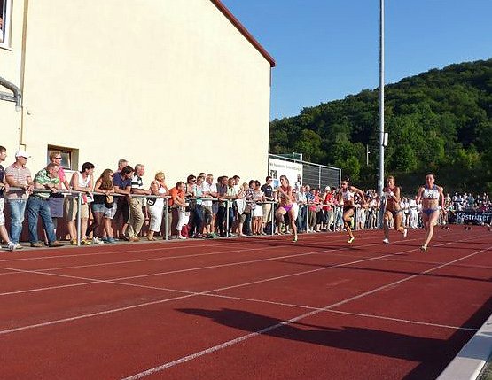 Unter die Stars gemischt