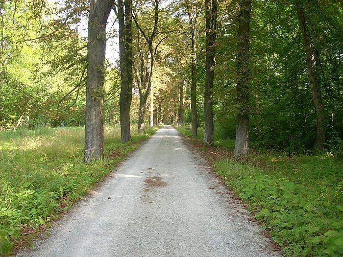 Beschissene Angelegenheit