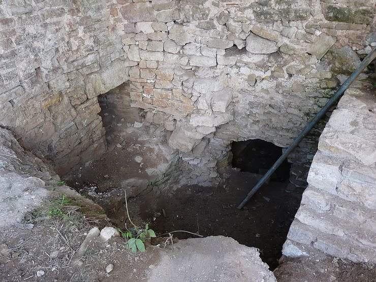 Patenschaft wird angestrebt