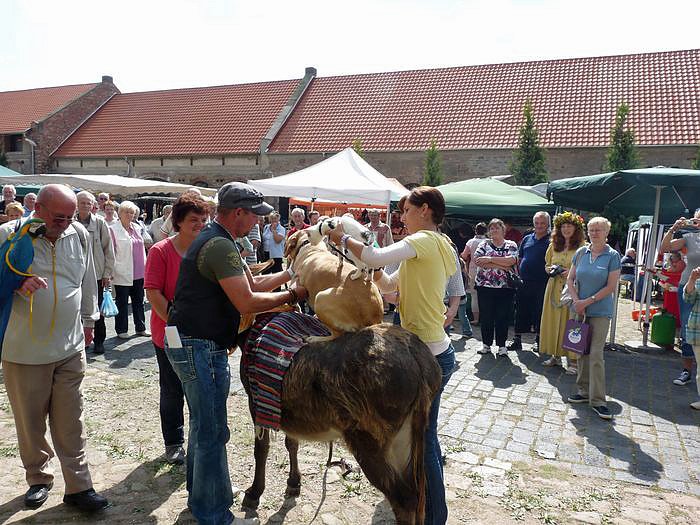 Der Trick mit den Stadtmusikanten