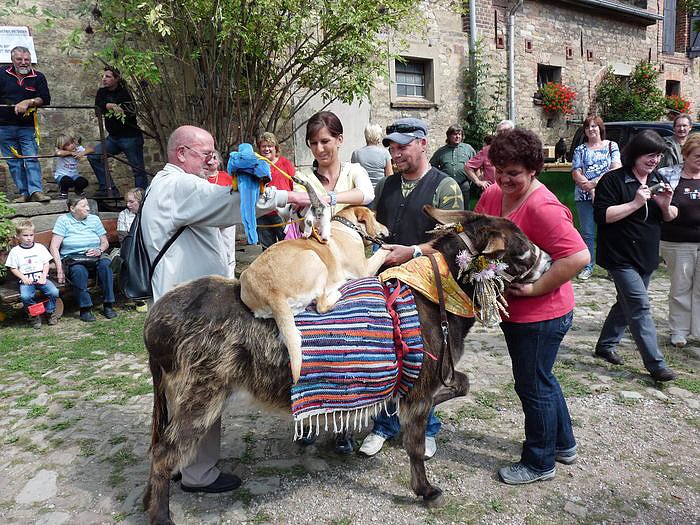 Der Trick mit den Stadtmusikanten