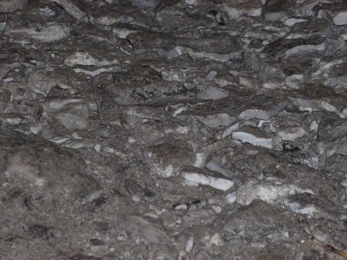 Gregorianika gut besucht