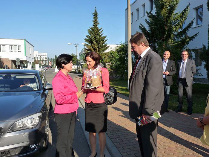 Lieberknecht bei ELSO