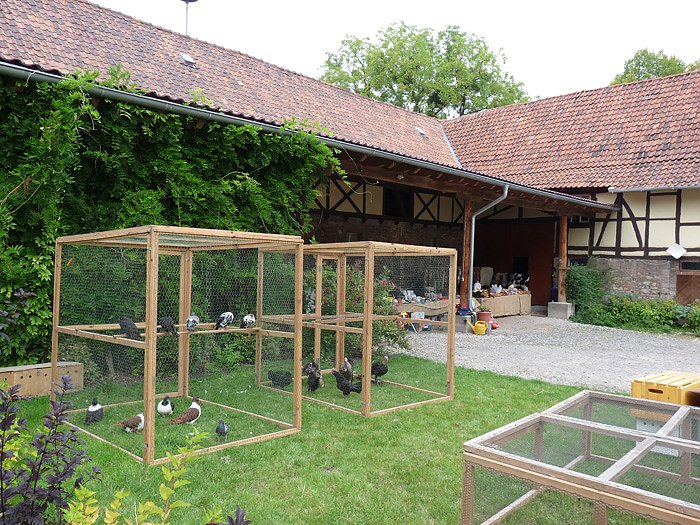 Schnabel aufgerissen