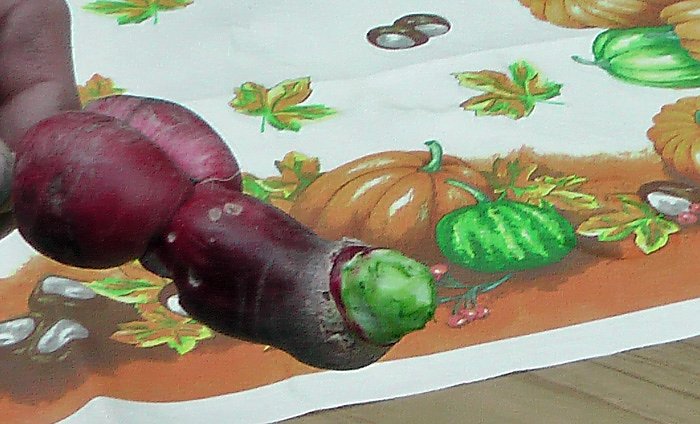 Ah und Oh bei Hausm&auml;nnern