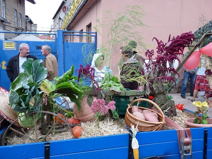 Impressionen vom Bauernmarkt