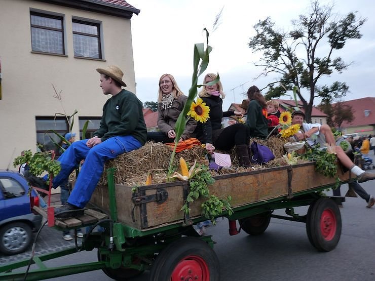 Impressionen vom Bauernmarkt