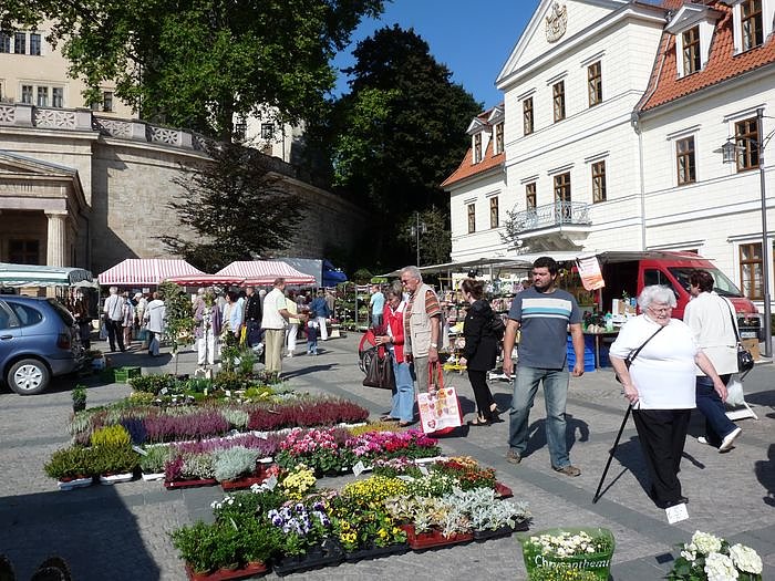 Mehr Besucher als sonst