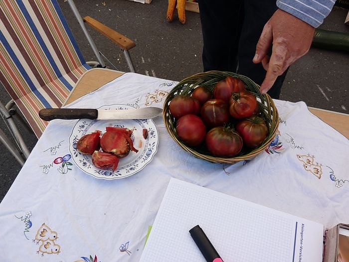 Kleingartenwesen vorgestellt