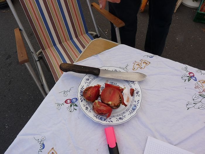 Kleingartenwesen vorgestellt